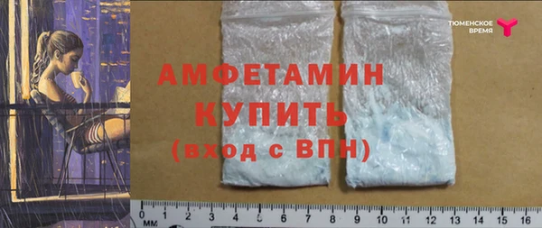 сатива Балахна