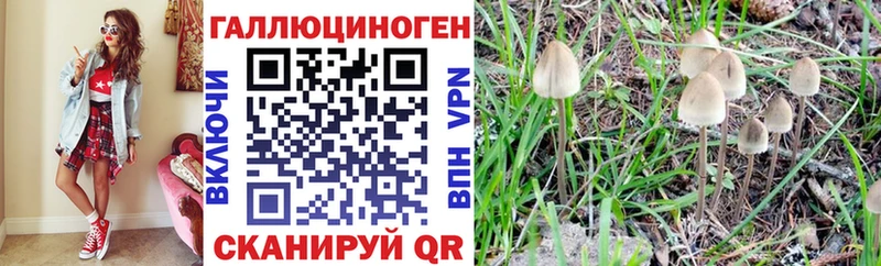 закладки  Радужный  сайты даркнета Telegram  Псилоцибиновые грибы мухоморы 